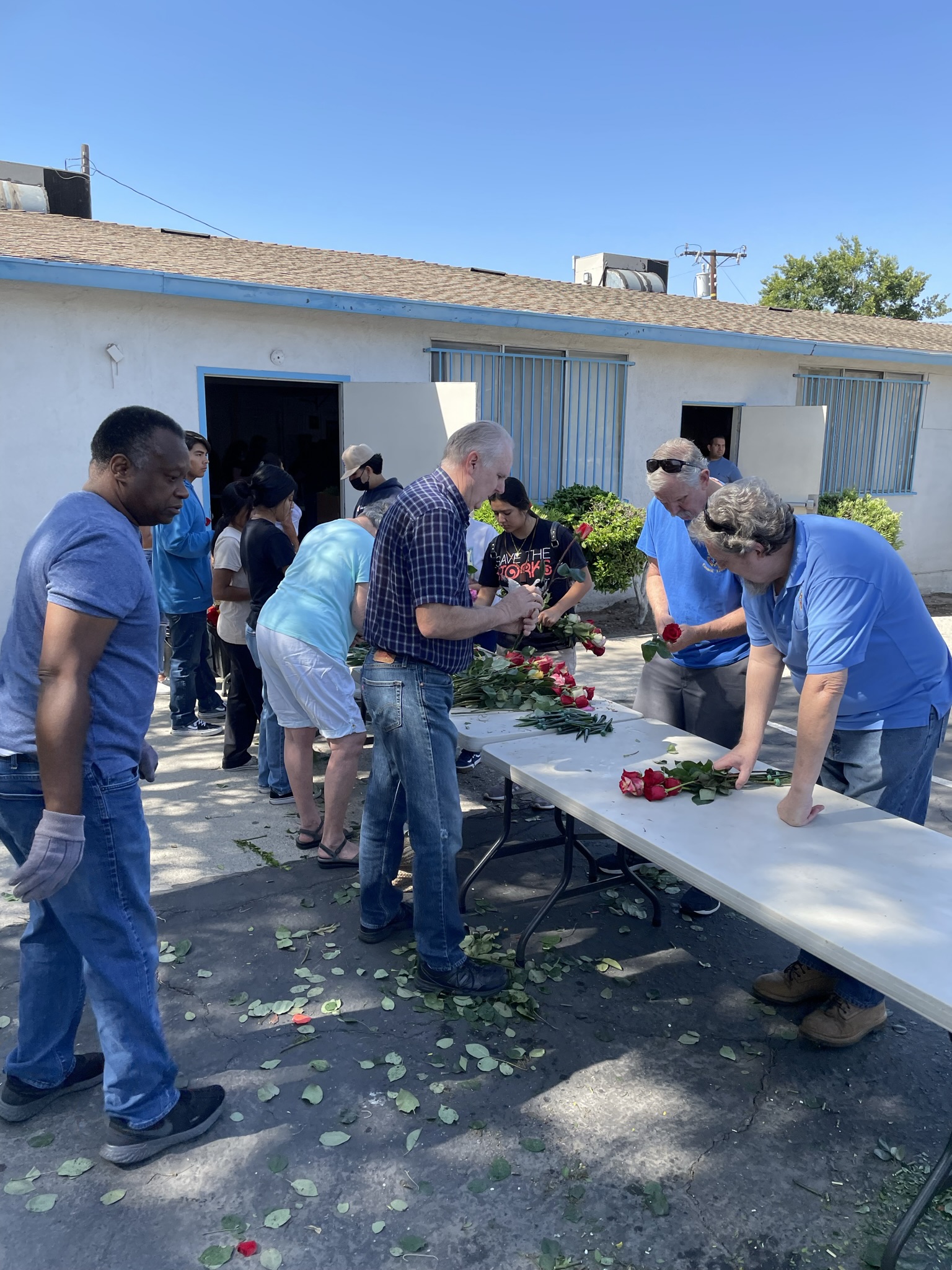 2022 Mother's Day Roses